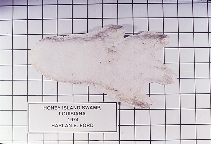 StS Episode 78: Bigfoot on Film